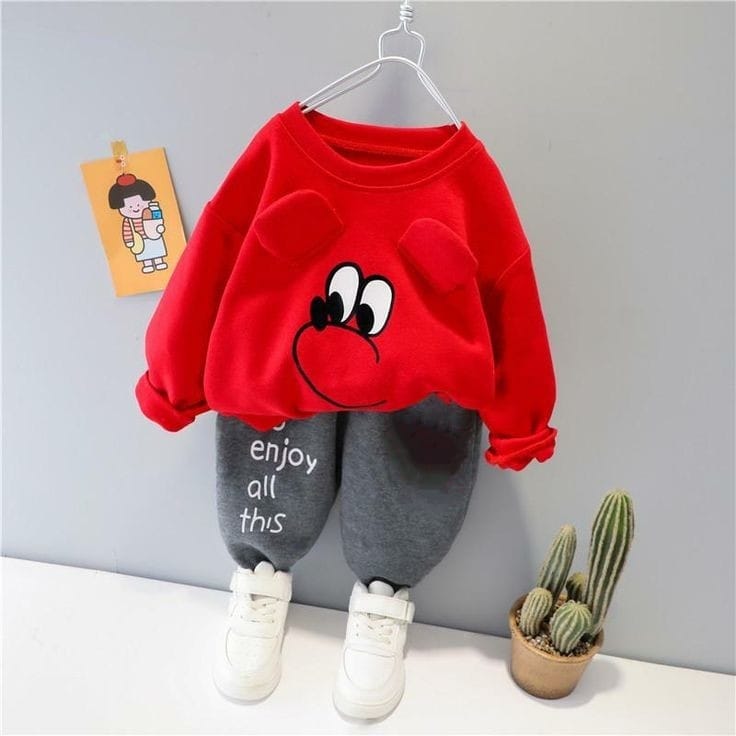 Baby Sweatshirt and Pant Set